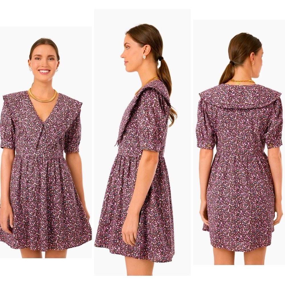 Hyacinth House Ruffle Collar Sadie Mini Dress